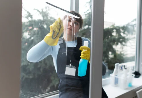 Nettoyage de vitres intérieures et extérieures à Semide